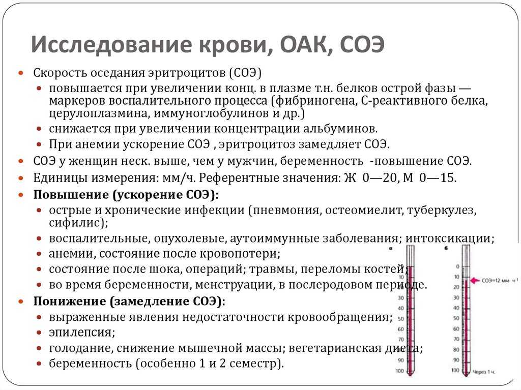 Соэ крови — тест бернацкого | университетская клиника