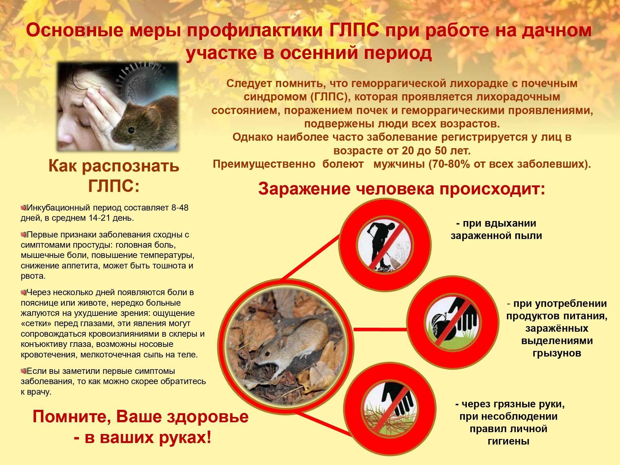 Какие болезни переносят мыши
