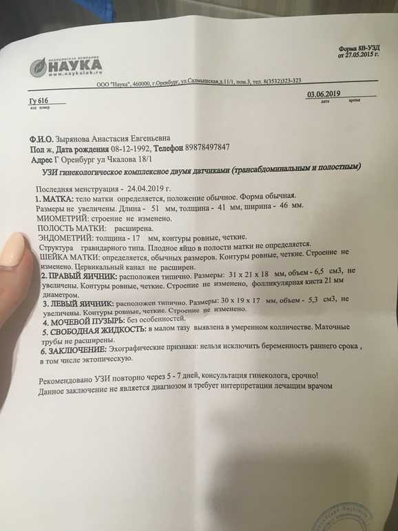 Фолликулометрия: что это, когда проводится, подготовка к процедуре, сроки