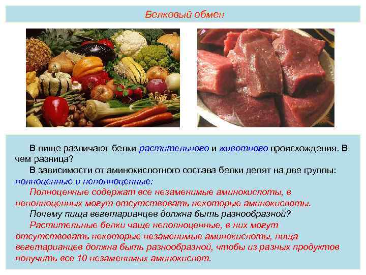 Как отказаться от продуктов животного происхождения и не лишиться денег, друзей и здоровья. краткий гид по веганству