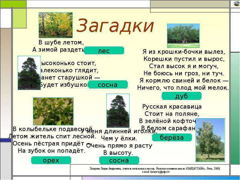 Загадки про предметы и вещи с ответами | 98 загадок для детей