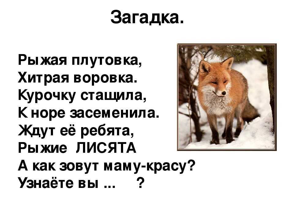 Путешествие в сказку «заюшкина избушка»». — мбдоу детский сад "мишутка"