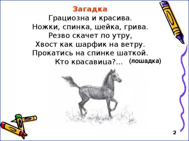 Найти подкову: какая это примета?