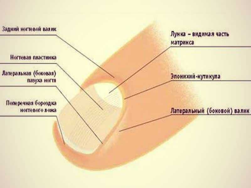 Температура, тошнота, рвота и головная боль