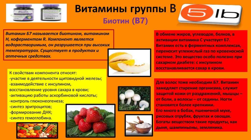 Топ-18: где содержится фолиевая кислота, в каких продуктах содержится больше всего