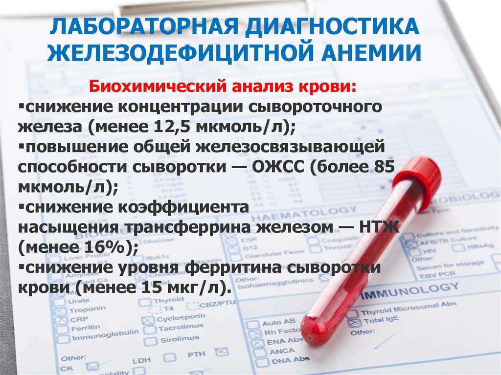 Анемия у детей | детская городская поликлиника № 32