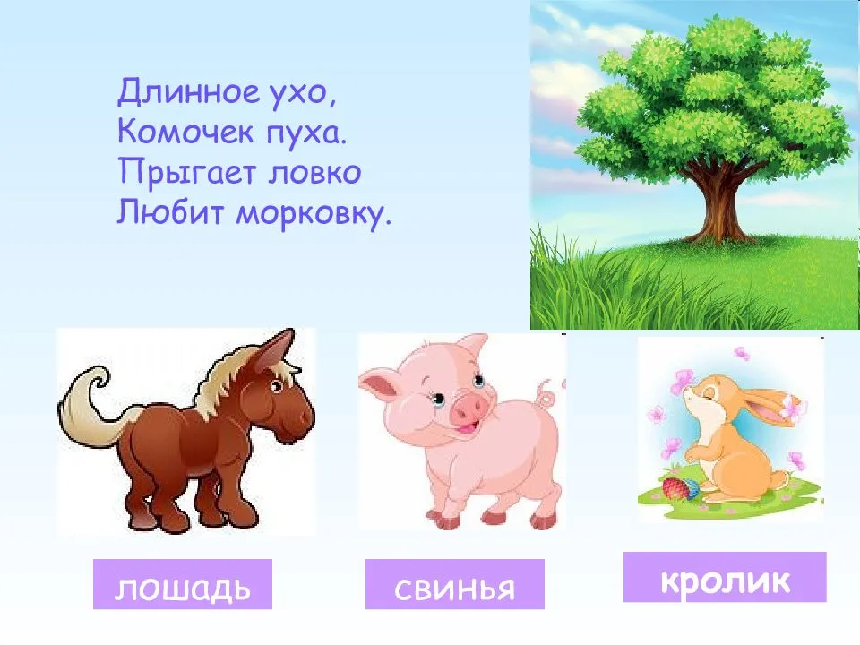 Загадки про животных — подборка самых интересных загадок