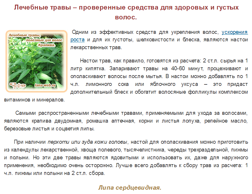 Календула для волос. польза и применение календулы для здоровья волос.