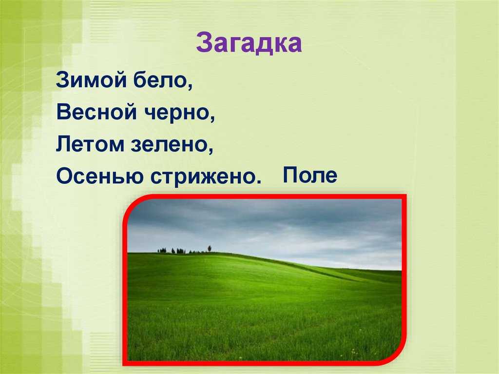 Конспект интегрированного занятия «профессия фермер» (старшая группа)