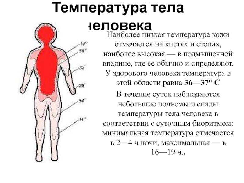 Нужно ли сбивать температуру у детей?