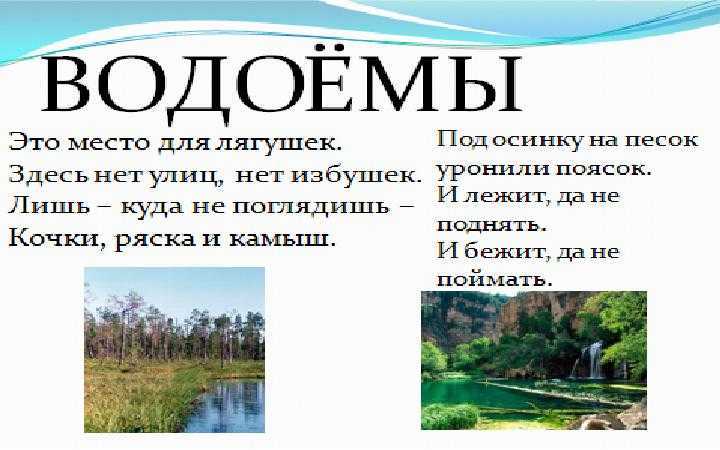 Загадка про окружающий мир 2 класс. Загадки про водоемы. Загадки про водоемы для детей. Загадка про пруд. Загадка про пруд для детей.