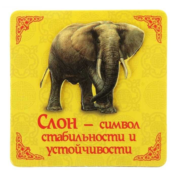 Колыбельная сказка про слона - я happy мама