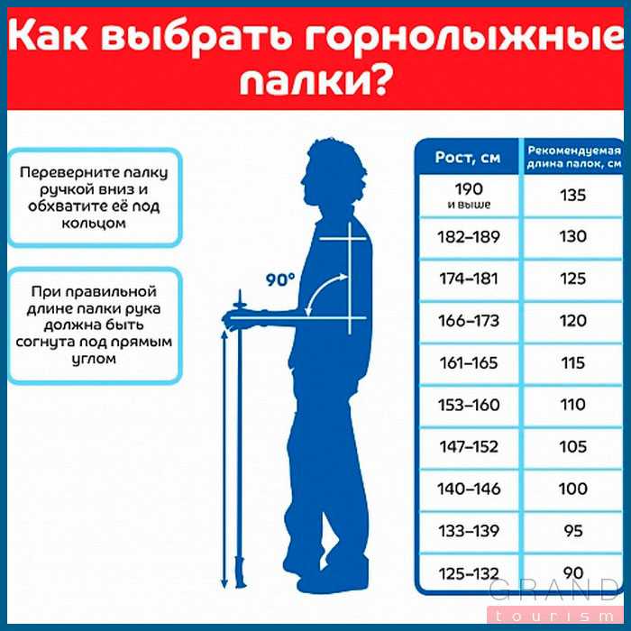 Беговые лыжи для детей: как выбрать лыжи, палки, ботинки | training365.ru | дзен