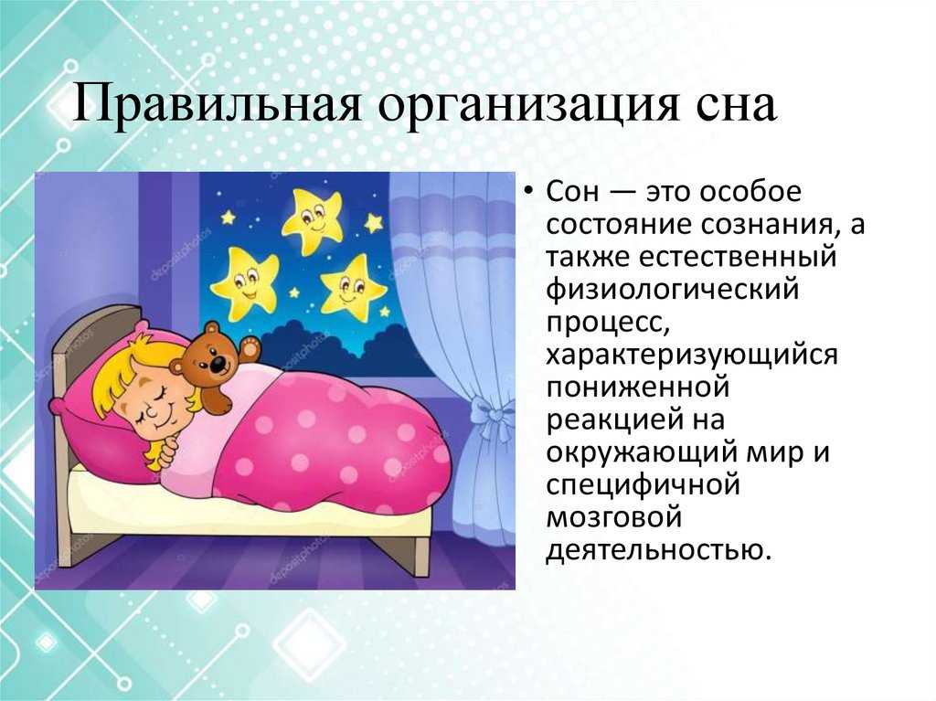 Дневной сон: полезно ли спать днём?