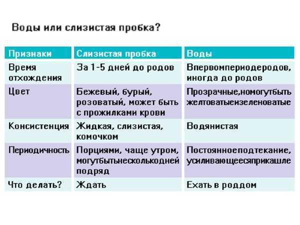 Если воды отошли — ехать в роддом или дождаться схваток?