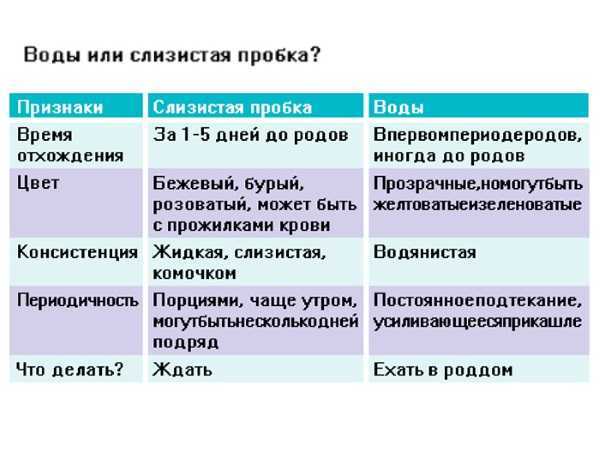 Отхождение вод при беременности. О хождение пробки при беременности. Пробка отходит при беременности.