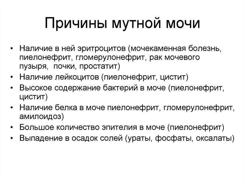 Как понять результаты анализа мочи?