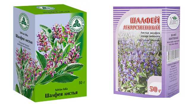 Шалфей чай для чего используется, какие полезные свойства чая, как правильно заваривать