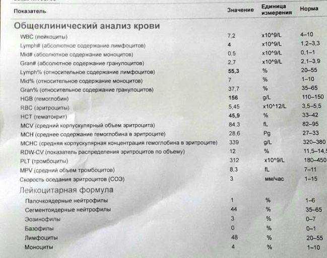 Что означают результаты анализов?