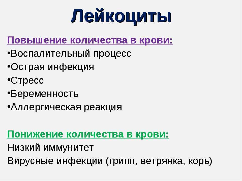 Повышение лейкоцитарной эстеразы в моче: что это означает и какие причины могут быть?