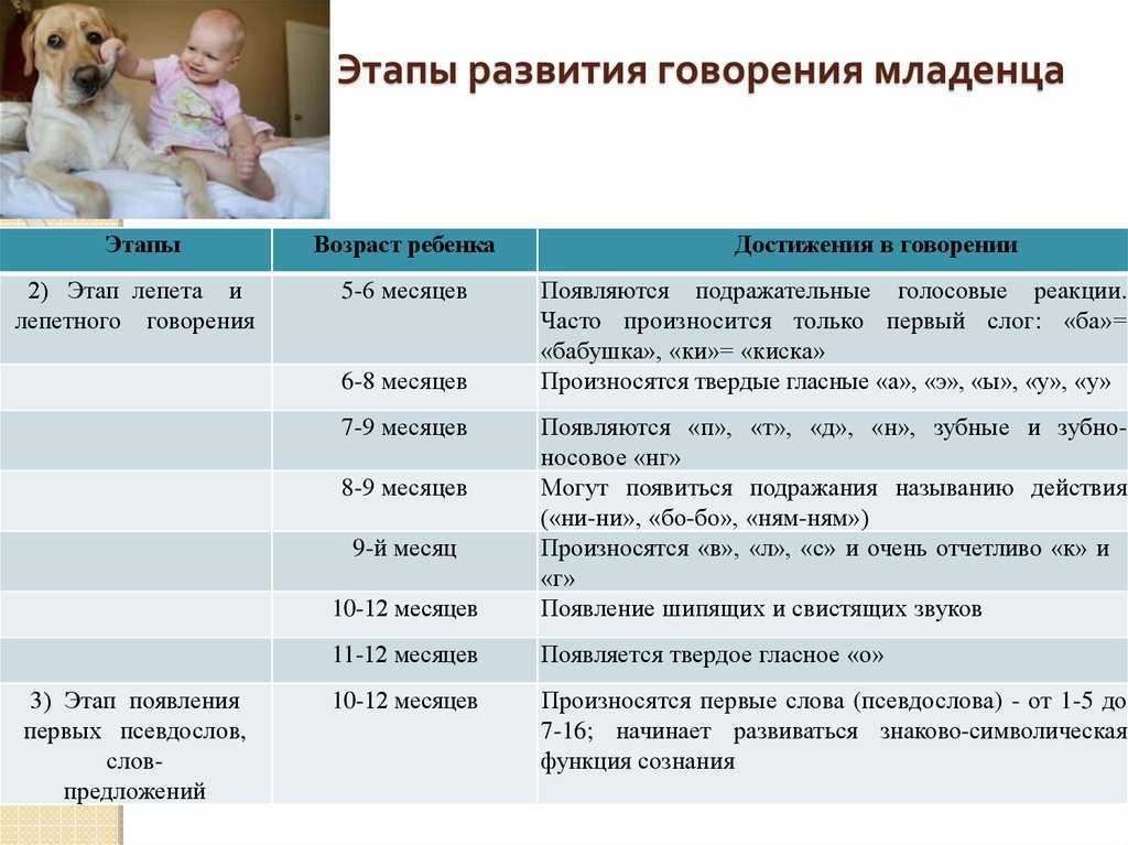 6 месяц развития малыша - что умеет новорожденный в этом возрасте, как ухаживать за ним, меню малыша Узнайте об особенностях питания и ухода за ребенком на шестом месяце жизни