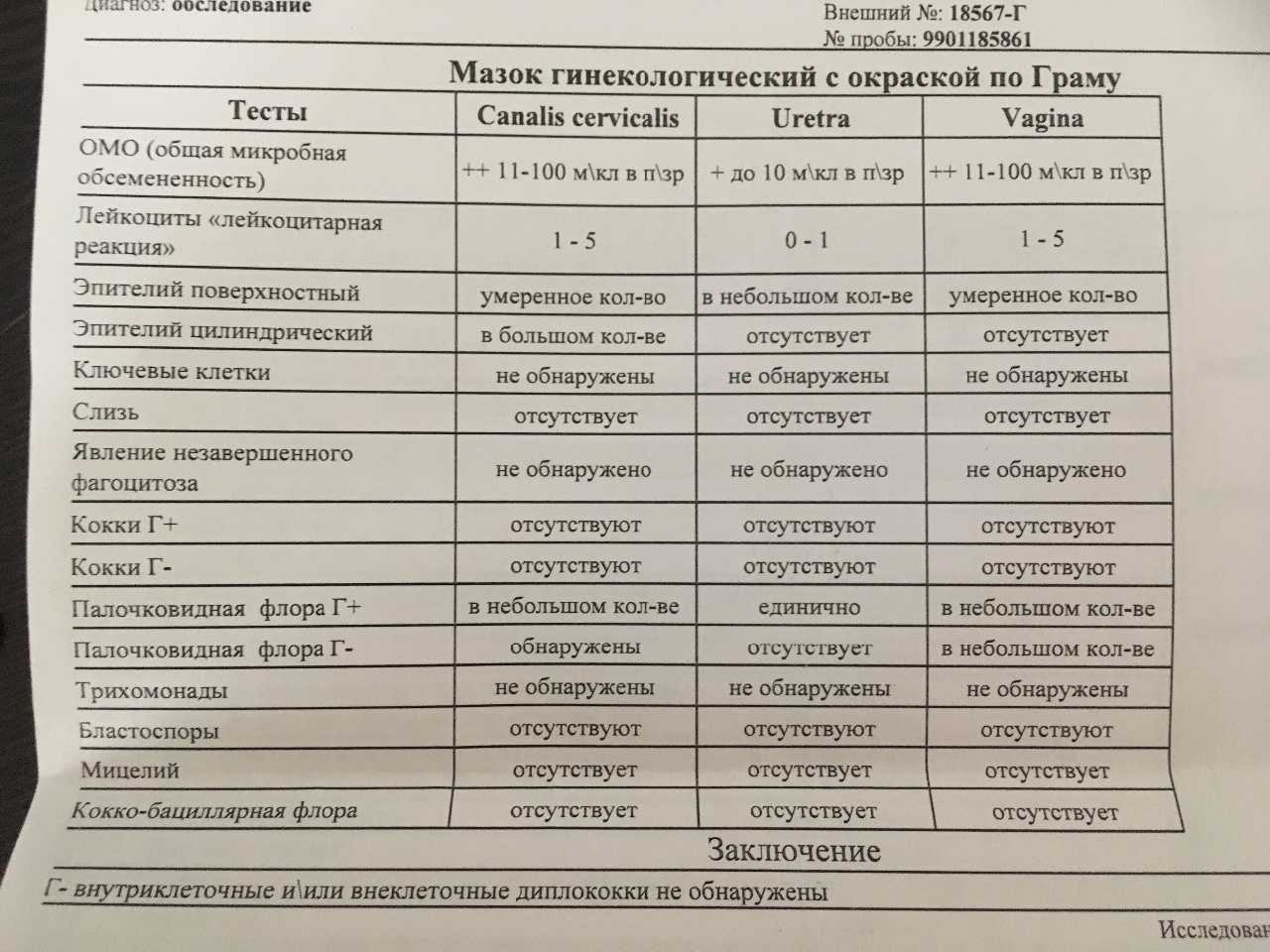 Бактериальный вагиноз: причины, симптомы, лечение, препараты