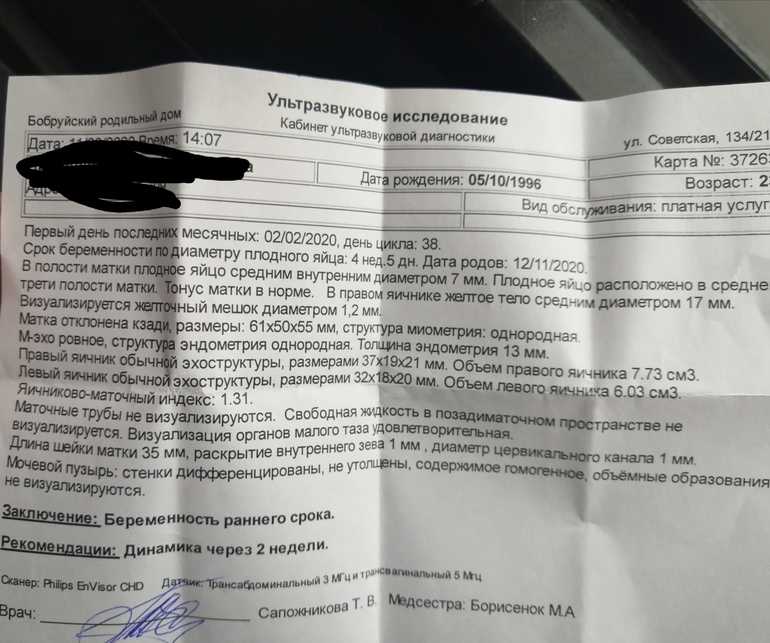 Узи при беременности. узи плода. выявление возможных пороков развития плода