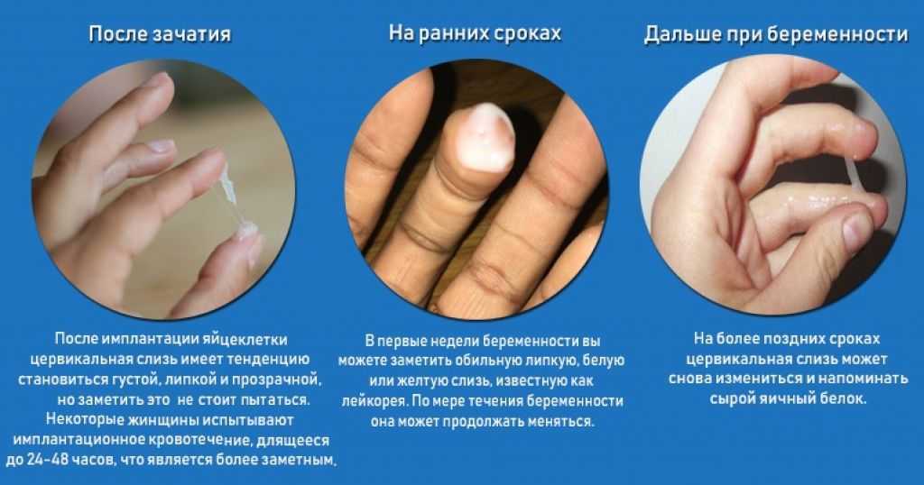 Прозрачные выделения при возбуждении у мужчин — нормы и отклонения
