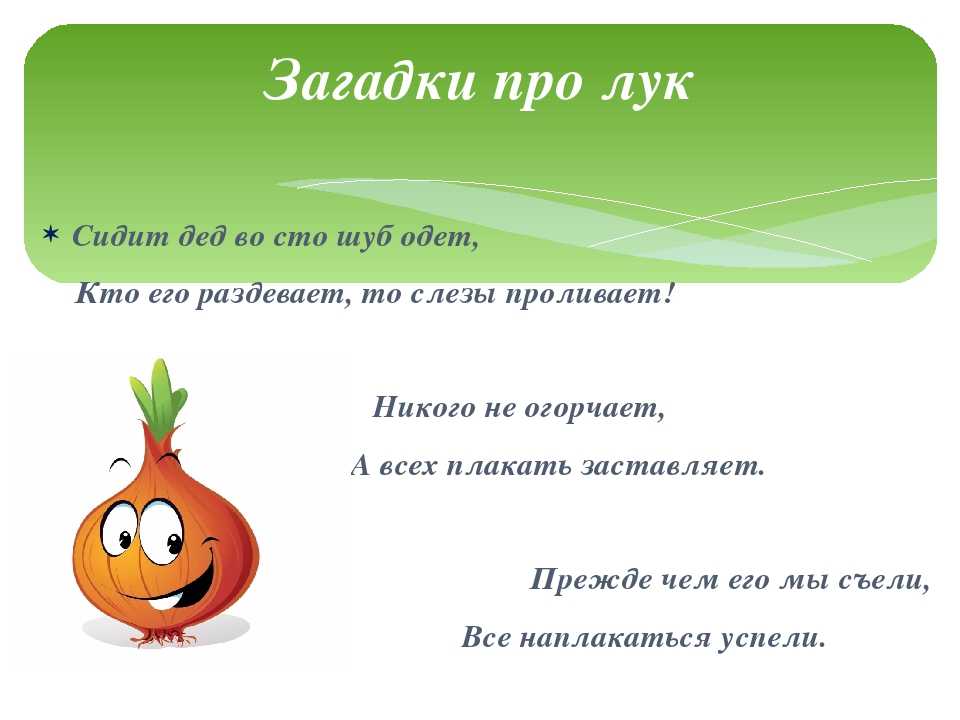 Книга загадок о явлениях природы. картотека по окружающему миру ( группа) по теме