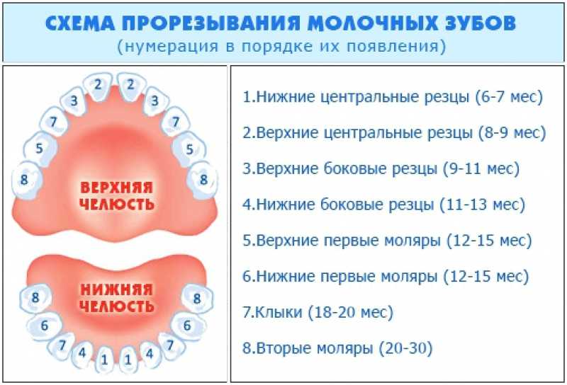 При прорезывании зубов у ребенка нередко пропадает аппетит, обильно отделяется слюна Есть способы облегчить состояние малыша