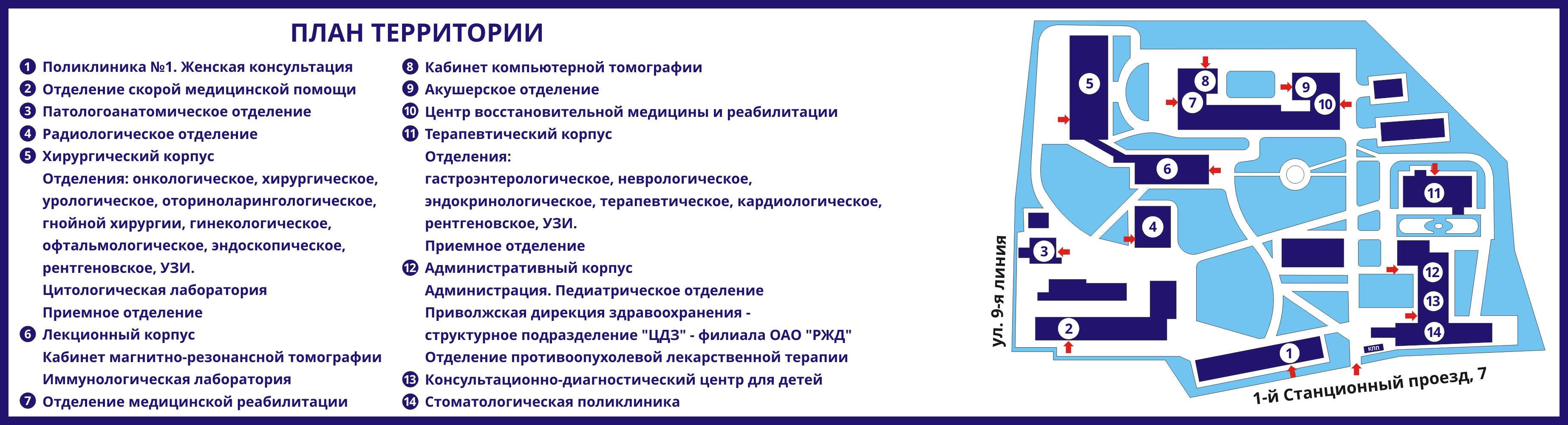 Амилаза в крови: нормы, причины отклонений, показания к анализу