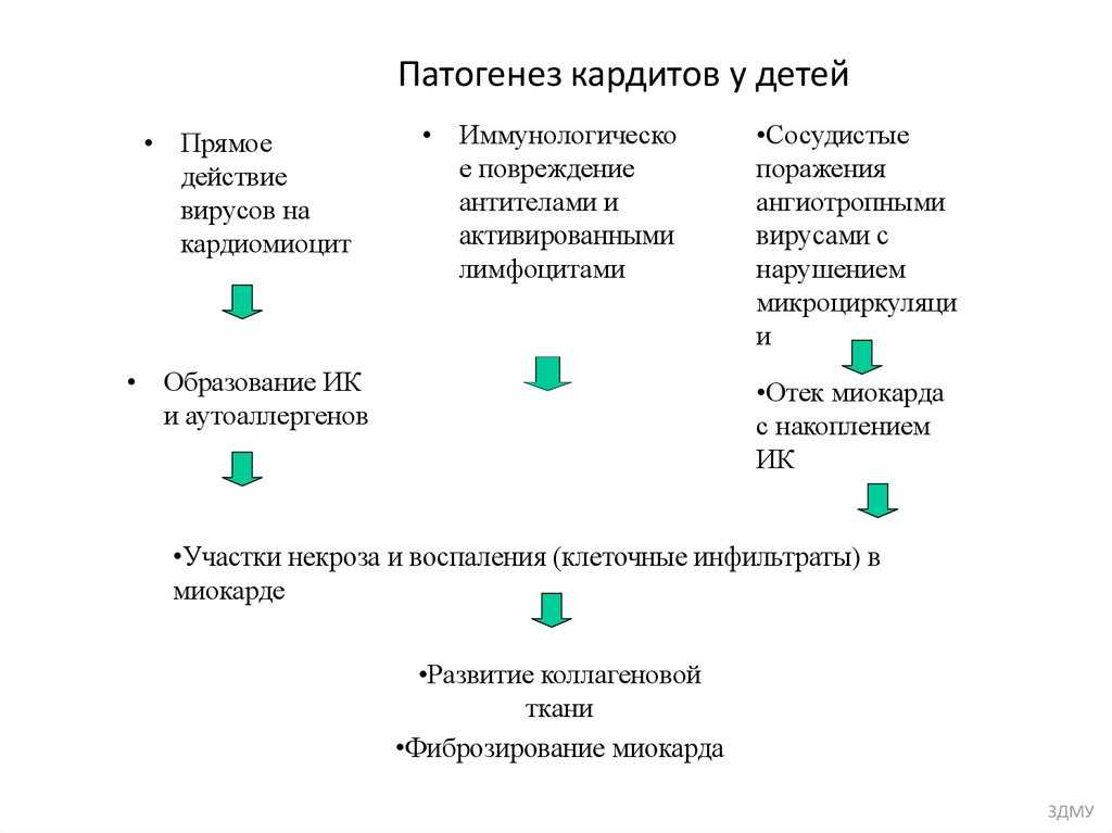 Неревматический кардит - med24info.com