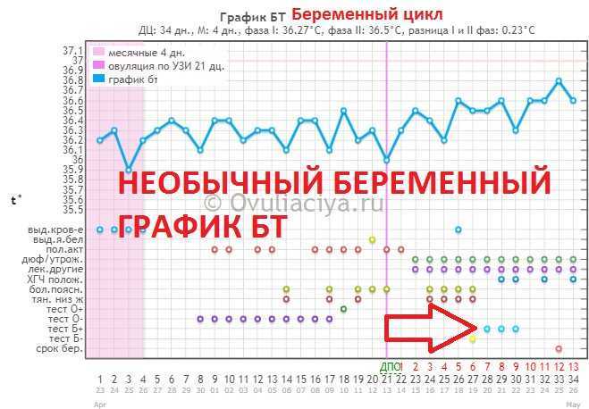 Измерение базальной температуры (бт). правила. расшифровка графиков базальной температуры