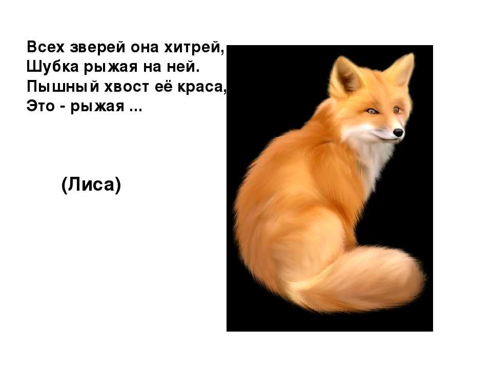 Русская народная сказка «заюшкина избушка» текст распечатать