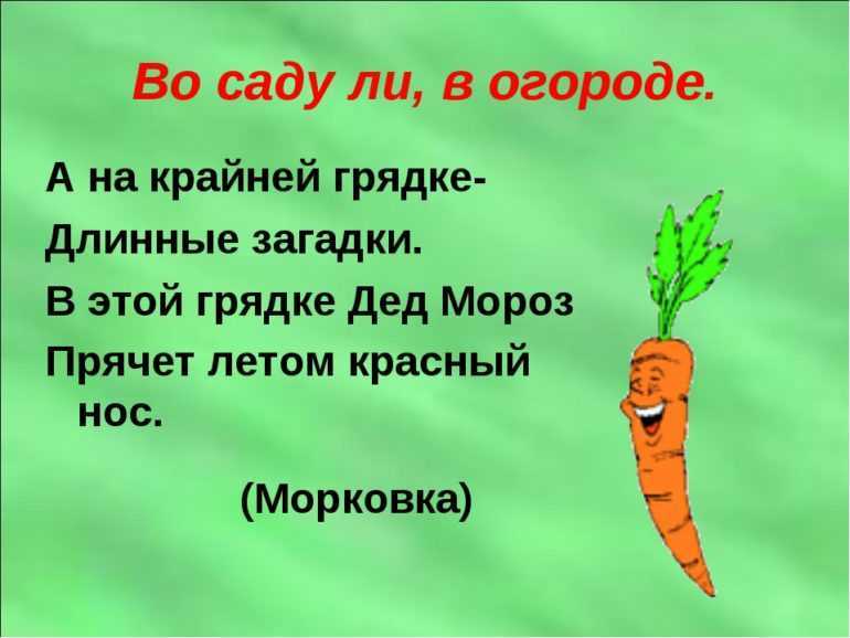 Загадки про сад и огород с ответами - детский час