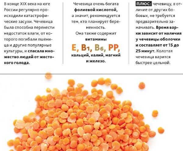 Можно ли чечевицу при грудном вскармливании?