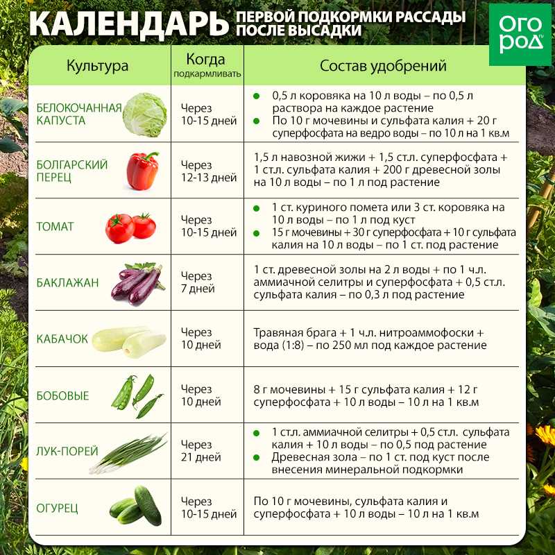 Можно ли детям баклажаны, с какого возраста. 2 рецепта для крох