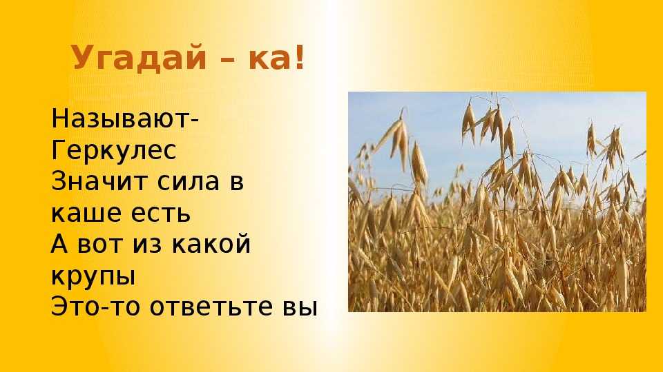 Загадки про рослини, дерева, овочі (з відповідями)