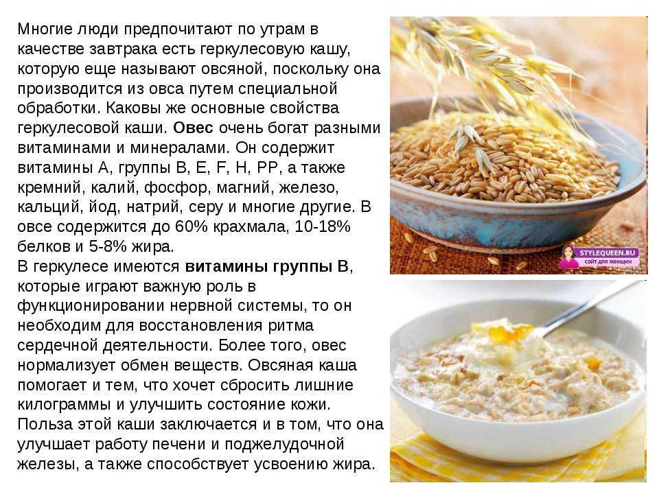 Чем полезно овсяное молоко
