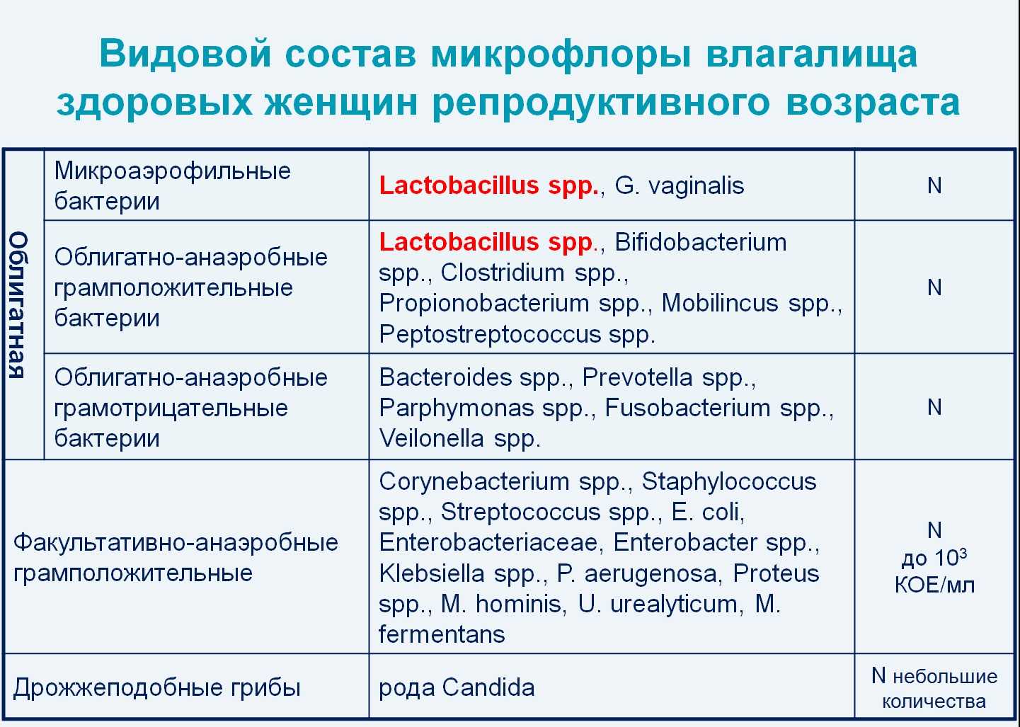 Бактериальный вагиноз: почему его путают с вагинитом, и нужно ли лечить инфекцию