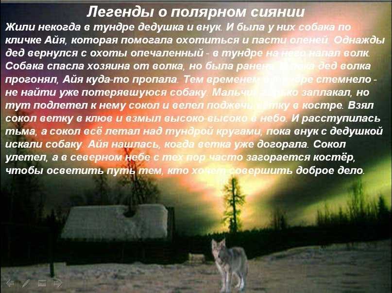 Загадки про оленя для детей и взрослых