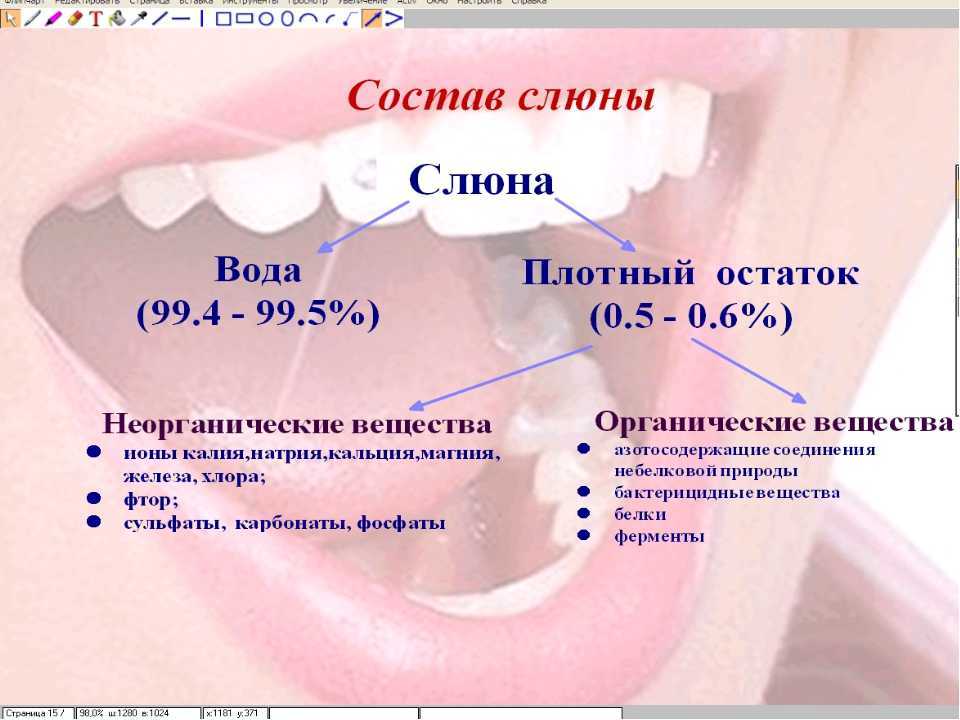 Полости рта беременности. Состав слюны. Функции слюны. Исследование слюны в стоматологии.