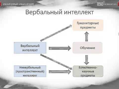 Как научиться учиться? 6 главных правил эффективного самообразования — нож