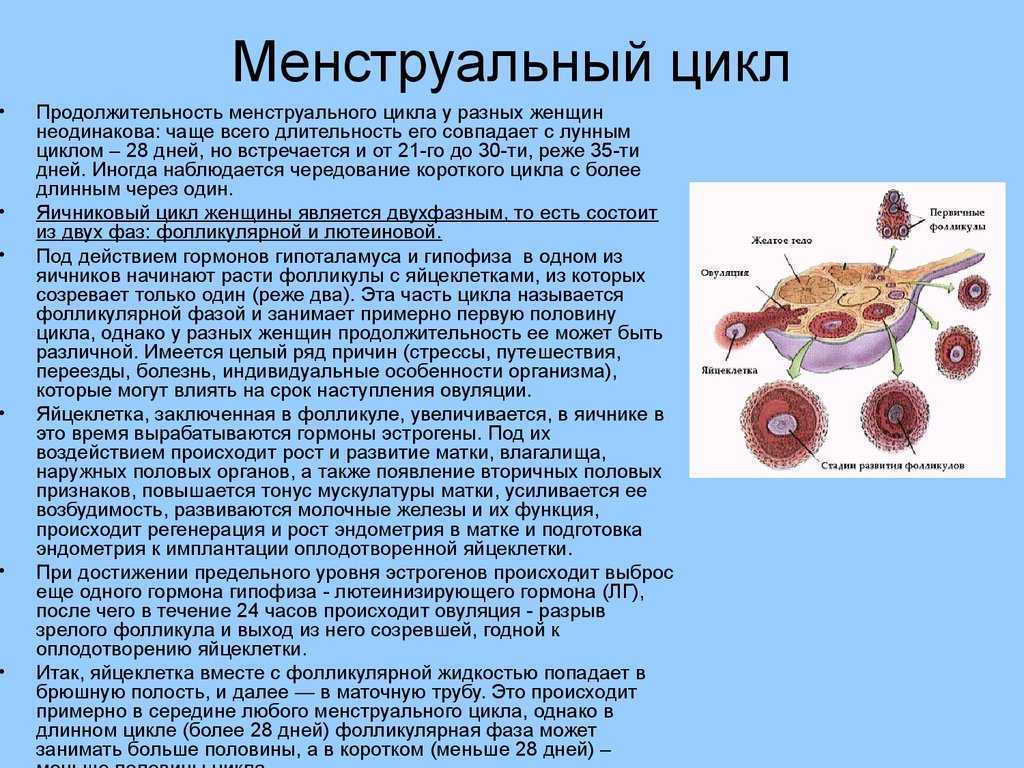 Женские гормоны - что это такое и какова их роль в женском организме? * клиника диана в санкт-петербурге