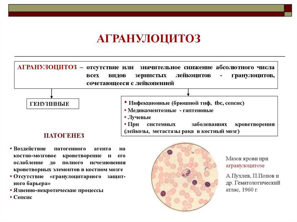 Доброкачественная нейтропения детского возраста - устинова мария викторовна, гематолог