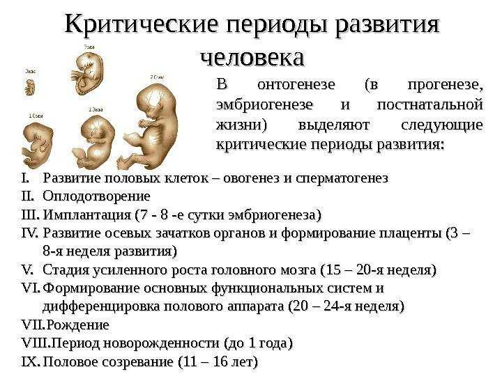 Аборт (выкидыш) - прерывание беременности | университетская клиника