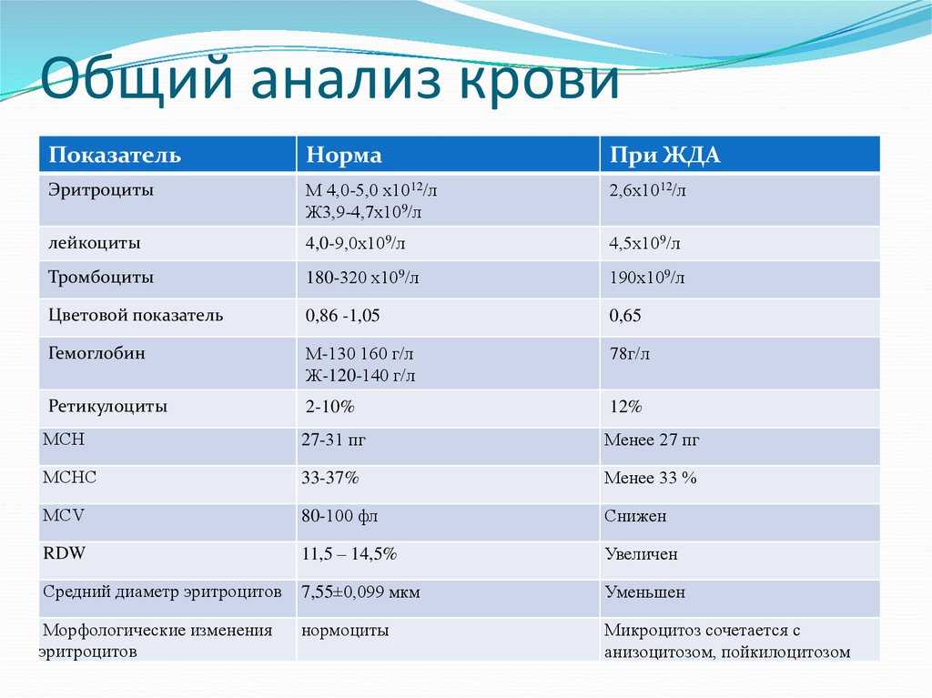 Ферритин. норма и отклонения