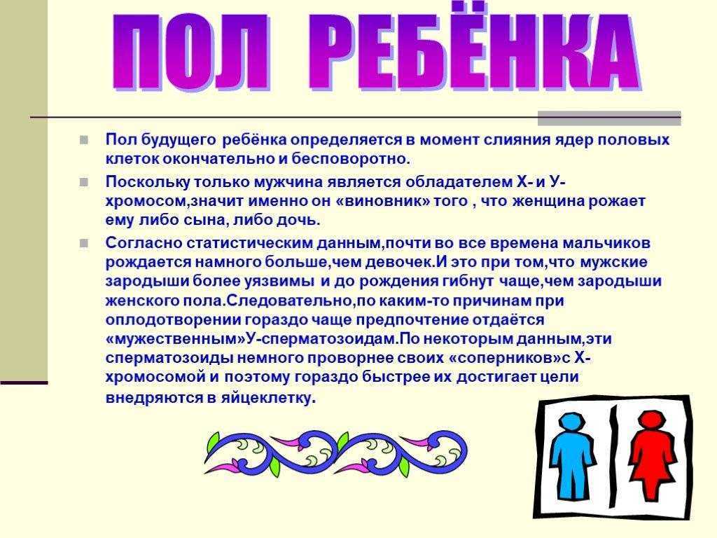От чего зависит пол ребенка - определение пола ребенка
