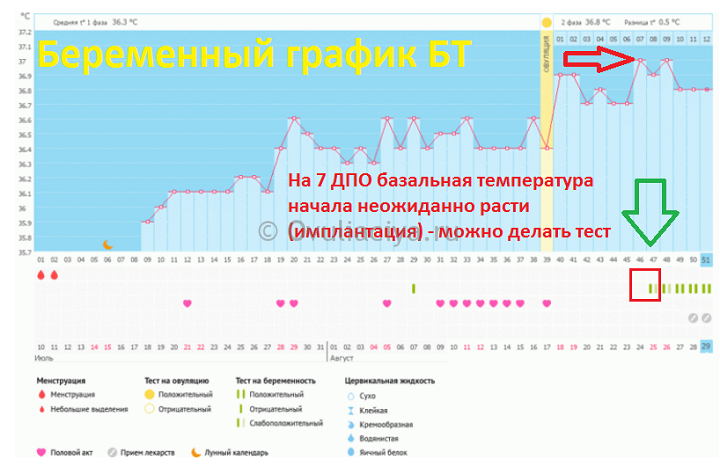 Примеры и расшифровка графика базальной температуры при беременности