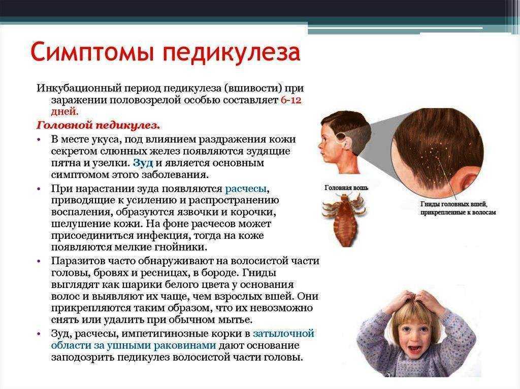Еще вчера у малыша была чистая кожа, а сегодня на ней появились красные пятнышки, которые ребенок непрерывно расчесывает Аллергия Что нужно знать, чтобы вовремя и правильно помочь своему ребенку